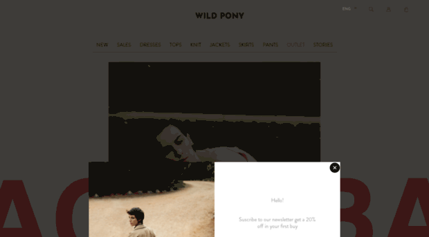 wild-pony.com