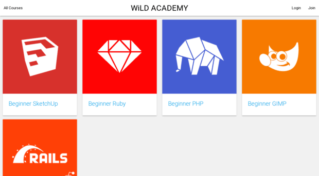 wildacademy.com