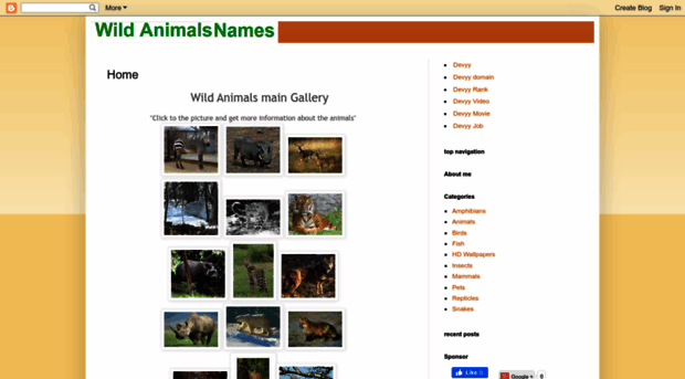 wildanimalsnames.blogspot.com