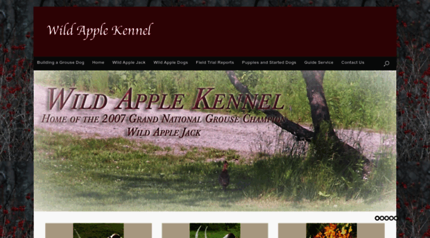 wildapplekennel.com