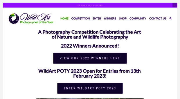 wildartpoty.com