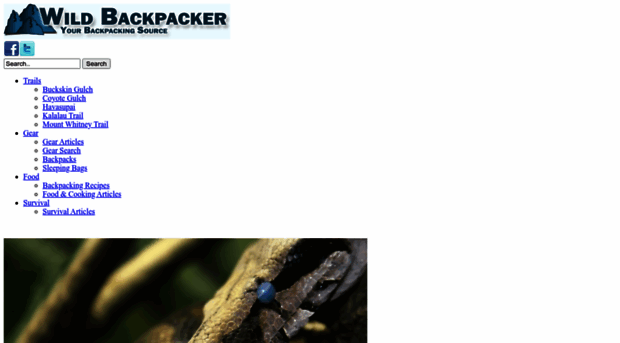 wildbackpacker.com