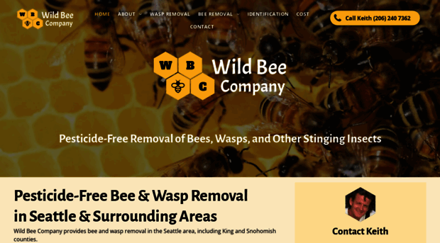 wildbeecompany.com