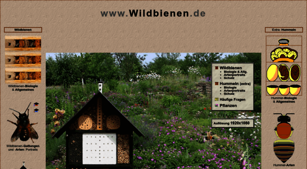 wildbienen.de