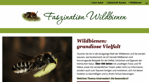 wildbienen.info