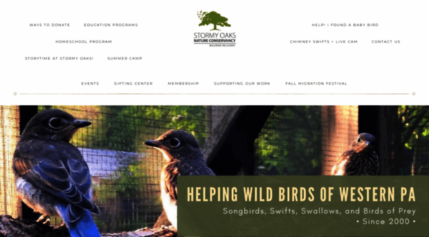 wildbirdrecovery.org