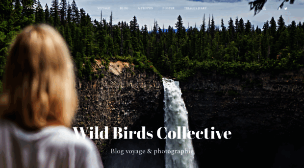 wildbirdscollective.com