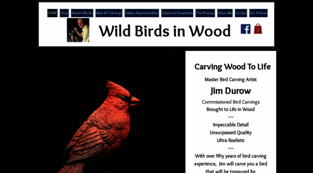 wildbirdsinwood.com