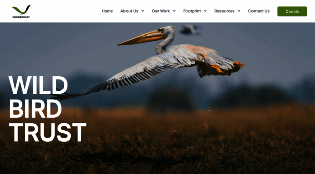 wildbirdtrust.com