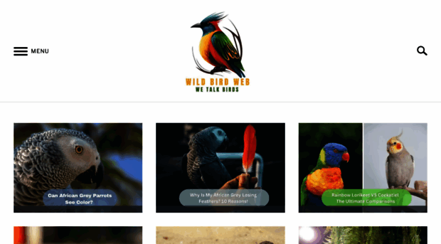 wildbirdweb.com