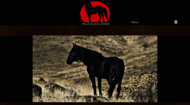 wildblackhorse.com