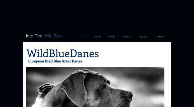 wildbluedanes.com