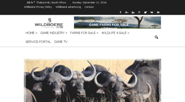 wildboere.com