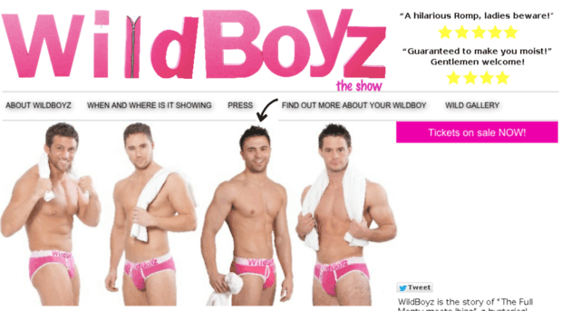 wildboyztheshow.com