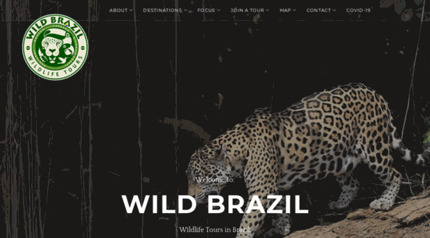 wildbrazil.net