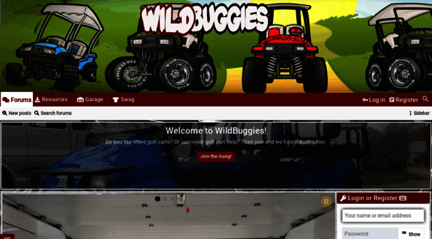 wildbuggies.com