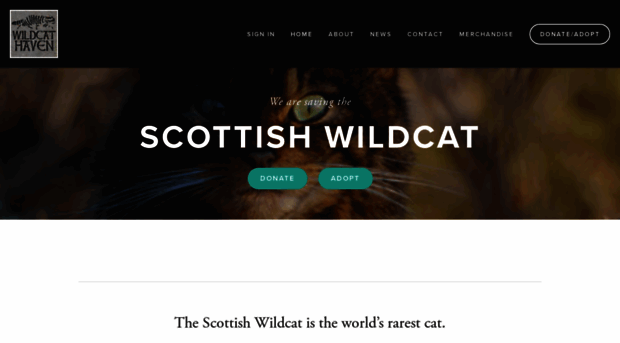 wildcathaven.com