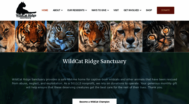 wildcatridgesanctuary.org