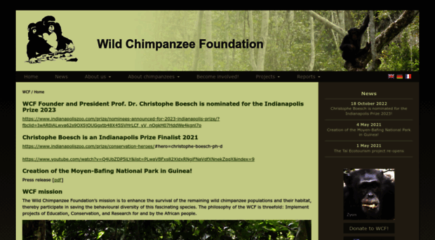 wildchimps.org