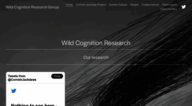 wildcognitionresearch.com