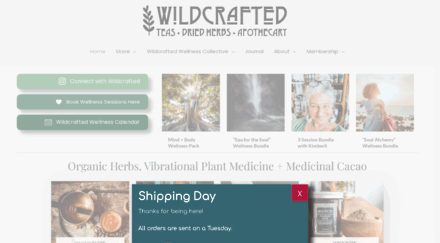 wildcrafted.co.nz