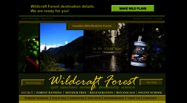 wildcraftforest.com