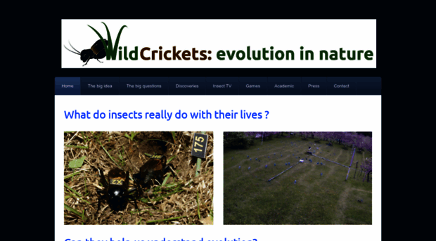 wildcrickets.org