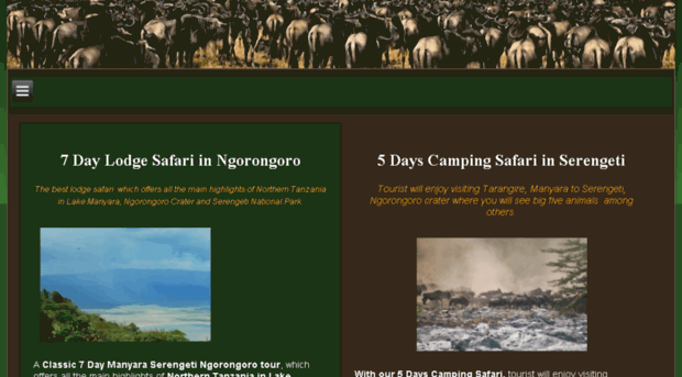 wildebeestsmigration.com