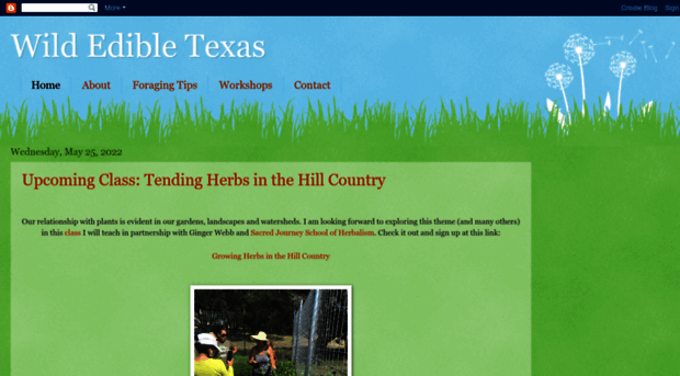 wildedibletexas.com