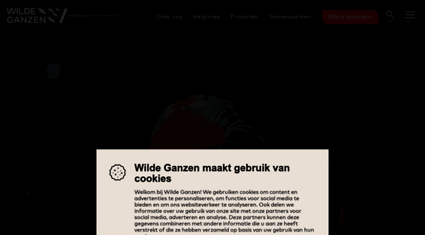 wildeganzen.nl