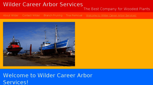 wildercareerservices.com