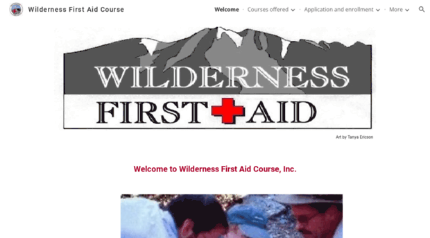 wildernessfirstaidcourse.org