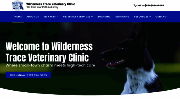 wildernesstracevetclinic.com