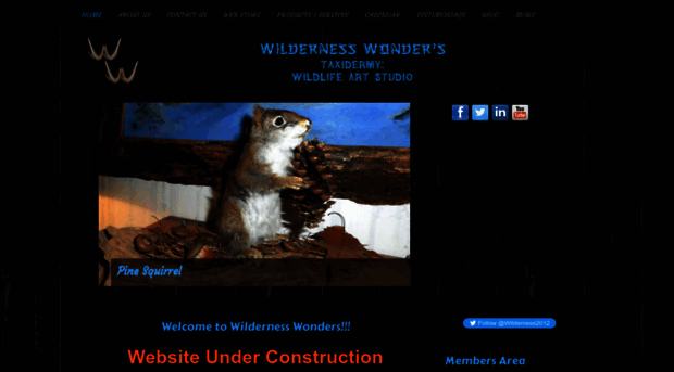 wildernesswonders.webs.com