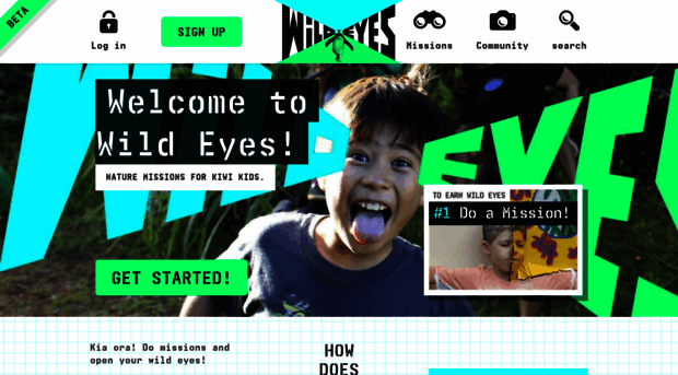 wildeyes.co.nz