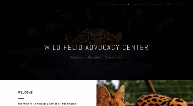 wildfelids.org