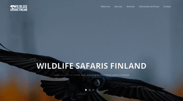 wildfinland.org