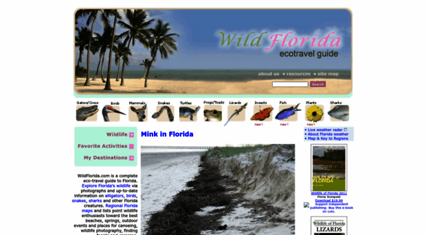 wildflorida.com