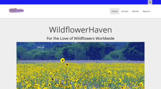 wildflowerhaven.com