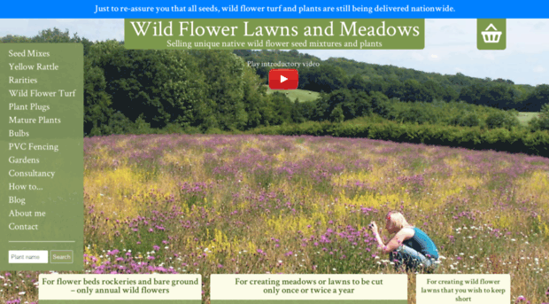 wildflowerlawnsandmeadows.com