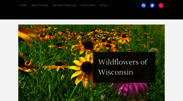 wildflowers-of-wisconsin.com