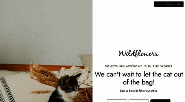 wildflowerscdga.com