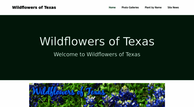 wildflowersoftexas.com