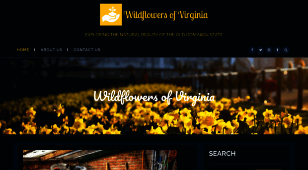 wildflowersofvirginia.com