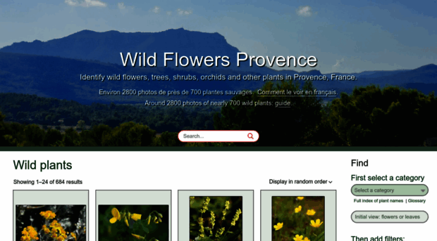 wildflowersprovence.fr