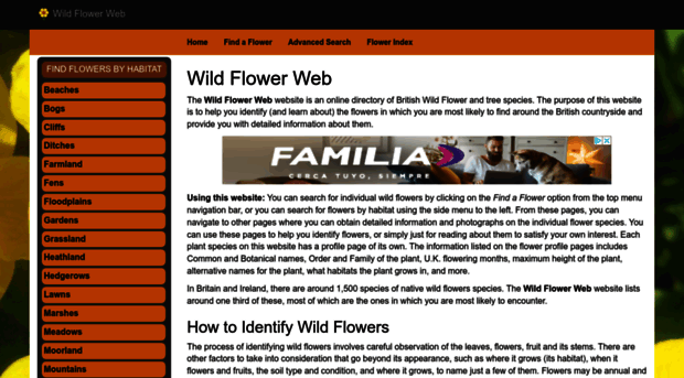 wildflowerweb.co.uk