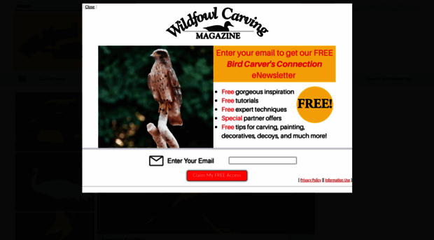 wildfowl-carving.com