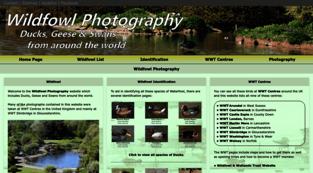 wildfowl-photography.co.uk