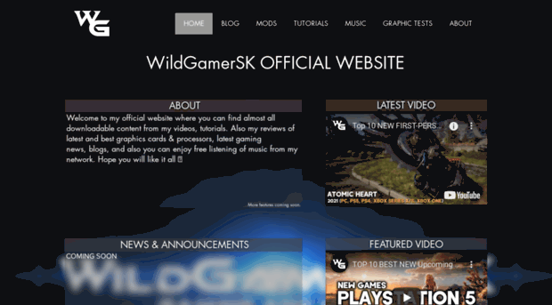 wildgamersk.com