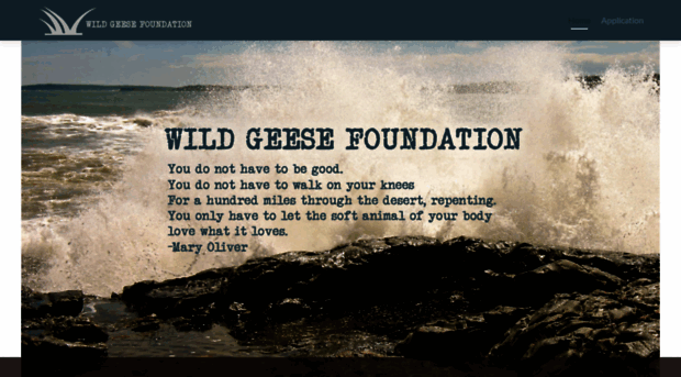 wildgeesefdn.org